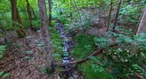 20230214171125528760000000