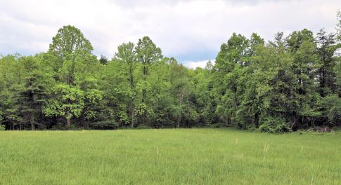 2.469 Acre Lot