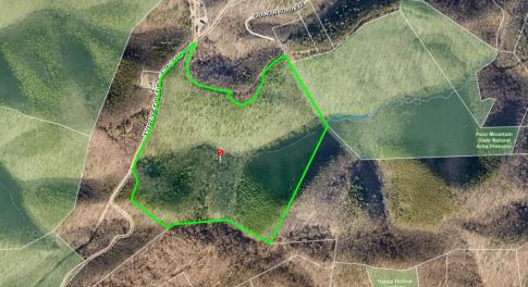 GIS View