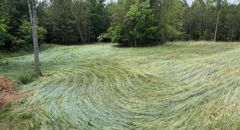 Big Plot AFTER (crimped rye)