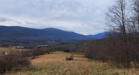Lot view