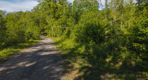 DJI_20250508093135_0661_D