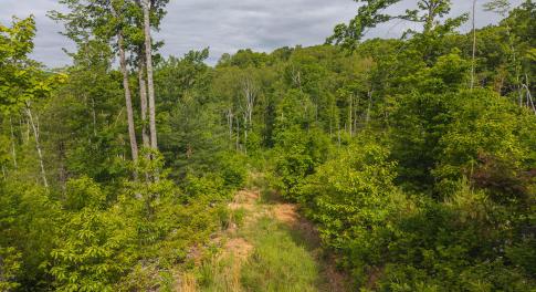 DJI_20250508094833_0681_D