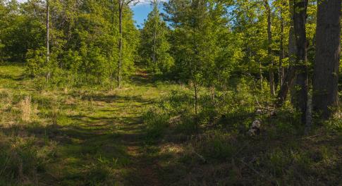 DJI_20250508093303_0667_D