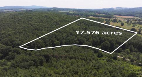 Timeline 1_01_06_49_49