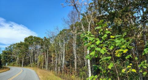 20201121021111611863000000-o