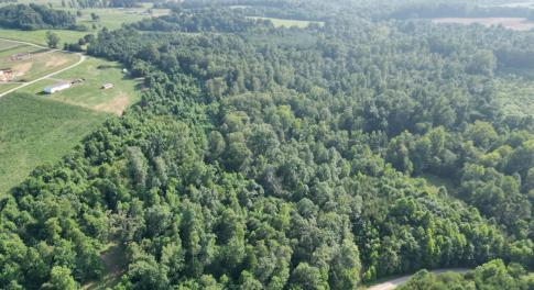 Aerial Image of Property