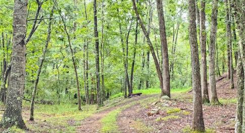 0 Johns Creek Rd