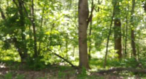 Carriage Hills Tract 1A