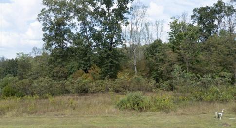 01-21 Watchtower Dr - Copy