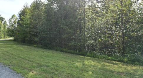 Beautiful Building Site