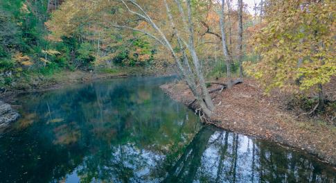 Botetourt 20 pic 15