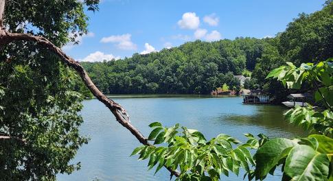 Lot 32 Lake View Pt