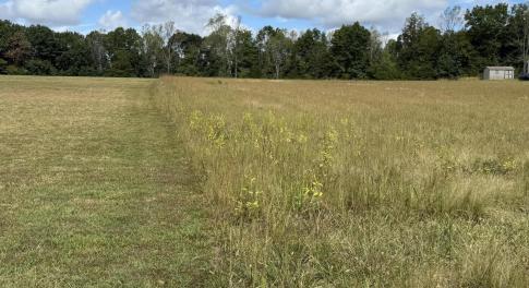 Photo Sep 26 2025, 12 17 51 PM