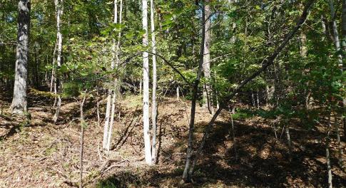 Lot 24 Cedar Bluff Ln