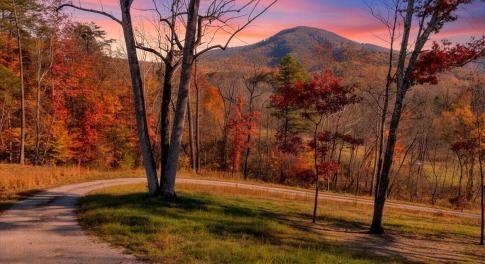 01-DJI_20251103153929_0047_DF