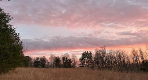 lot 32 windsor castle with trees behind