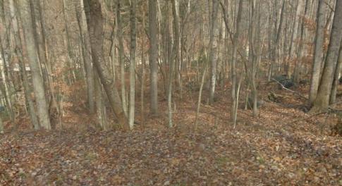 1981291591streetview_198129_S