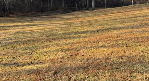 Lot 4 Sunny Seven Dr