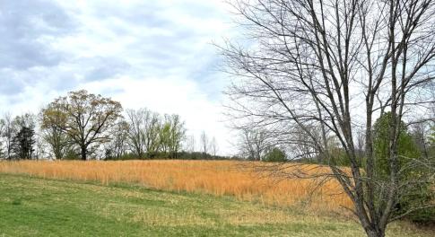 Lot 1 Springhouse Ln