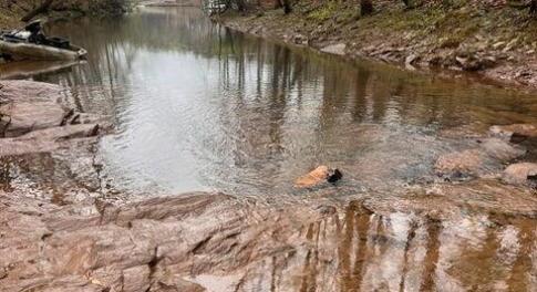 Lot 93A Heron Landing