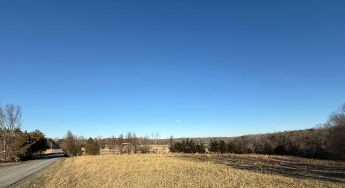 IMG_1810 cropped