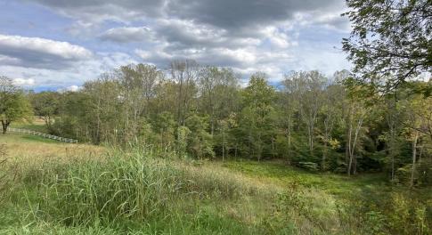 Lot 27 Plybon Lane, Wirtz, VA