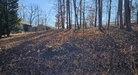 Autumn slope with pink flags
