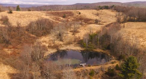 DJI_20260304114630_0517_D