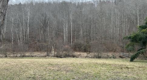 Prillaman Switch Photo