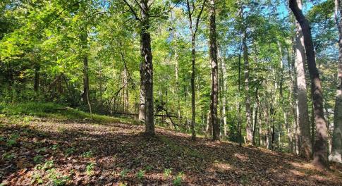 20211021001919024183000000-o