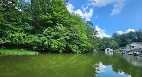 Lot 60 Lakewatch Circle