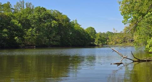 beautiful quiet cove area