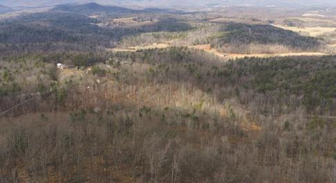 DJI_20260225113039_0366_D