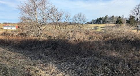 PXL_20260306_134549788