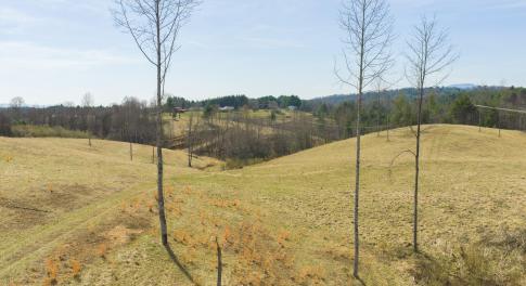 DJI_20260325143331_0184_D