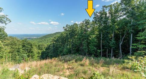 Potential view 3