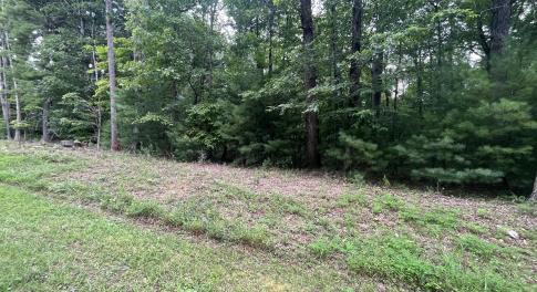 0 Storey Creek Ln