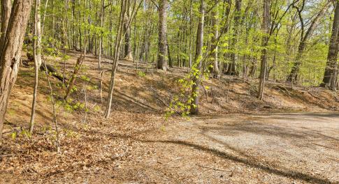 Lot 43 Old Barn Road (3)