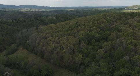 DJI_20260424145941_0791_D