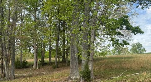 LOt 28 Farm DRive