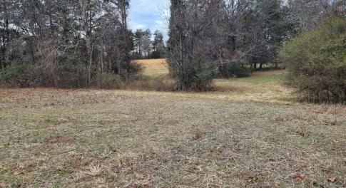 1st open field