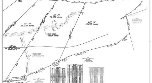 203023lot77survey_page_3_203023_S