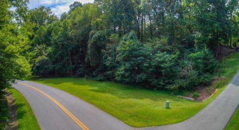 land pic 1 copy