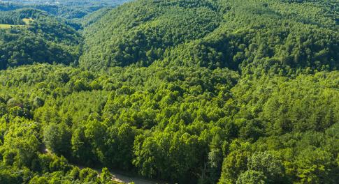 DJI_20260624175535_0983_D