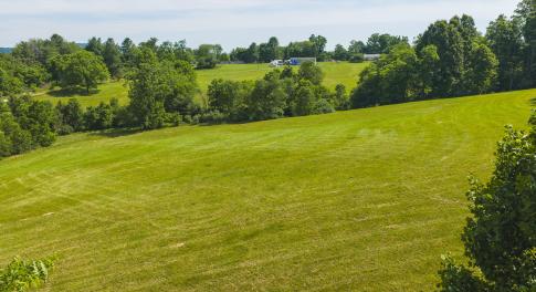 DJI_20260608105025_0909_D