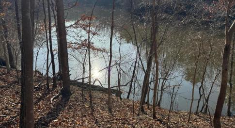 Lot 26 Poplar Dr.