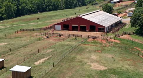 Horse Farm - 4