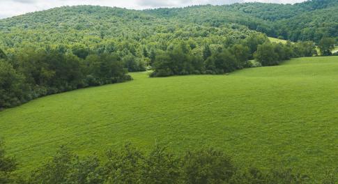 DJI_20260804121121_0270_D