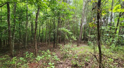 LOT 6 Brooks Mill Rd.